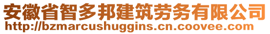 安徽省智多邦建筑勞務(wù)有限公司