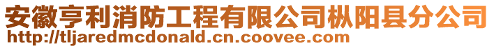 安徽亨利消防工程有限公司樅陽縣分公司