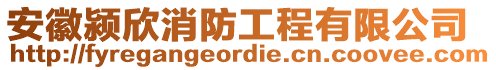 安徽潁欣消防工程有限公司