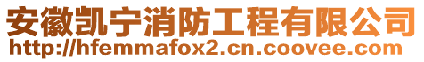 安徽凱寧消防工程有限公司