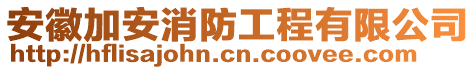 安徽加安消防工程有限公司