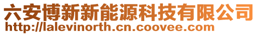 六安博新新能源科技有限公司