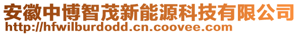 安徽中博智茂新能源科技有限公司