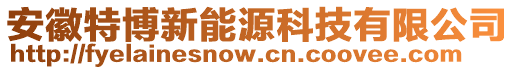 安徽特博新能源科技有限公司