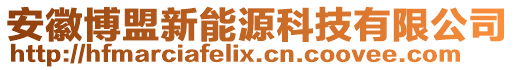 安徽博盟新能源科技有限公司