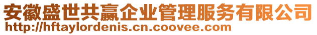 安徽盛世共贏企業(yè)管理服務(wù)有限公司