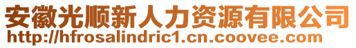 安徽光順新人力資源有限公司