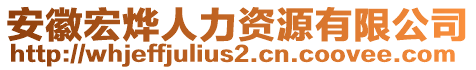 安徽宏燁人力資源有限公司