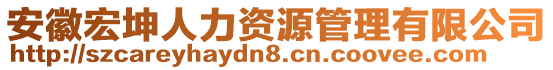 安徽宏坤人力資源管理有限公司