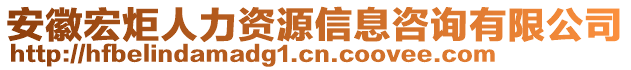 安徽宏炬人力資源信息咨詢有限公司