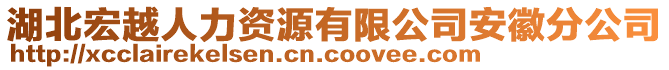 湖北宏越人力資源有限公司安徽分公司