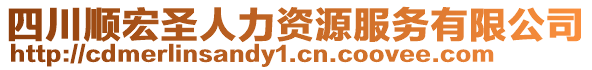 四川順宏圣人力資源服務有限公司