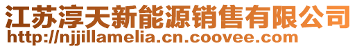 江蘇淳天新能源銷售有限公司