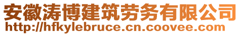 安徽濤博建筑勞務有限公司