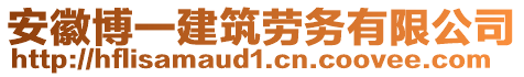 安徽博一建筑勞務(wù)有限公司