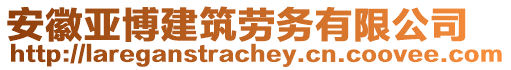 安徽亞博建筑勞務有限公司