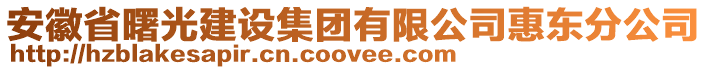 安徽省曙光建設(shè)集團(tuán)有限公司惠東分公司
