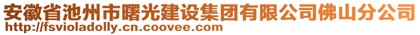 安徽省池州市曙光建設(shè)集團(tuán)有限公司佛山分公司