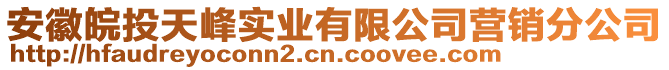 安徽皖投天峰實(shí)業(yè)有限公司營(yíng)銷(xiāo)分公司