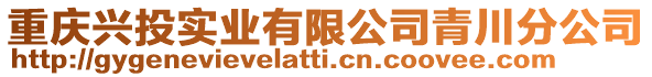 重慶興投實業有限公司青川分公司