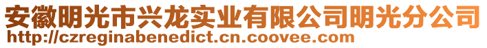 安徽明光市興龍實(shí)業(yè)有限公司明光分公司