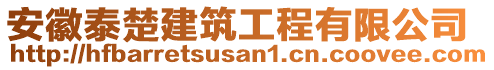 安徽泰楚建筑工程有限公司