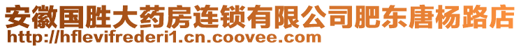 安徽國勝大藥房連鎖有限公司肥東唐楊路店