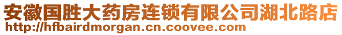 安徽國勝大藥房連鎖有限公司湖北路店