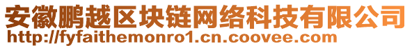 安徽鵬越區(qū)塊鏈網(wǎng)絡(luò)科技有限公司