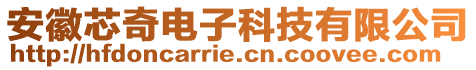 安徽芯奇電子科技有限公司