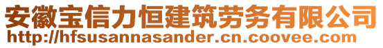 安徽寶信力恒建筑勞務(wù)有限公司