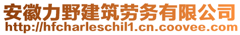 安徽力野建筑勞務(wù)有限公司