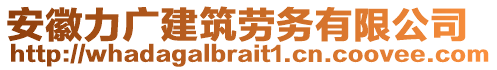 安徽力廣建筑勞務有限公司