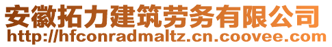 安徽拓力建筑勞務(wù)有限公司