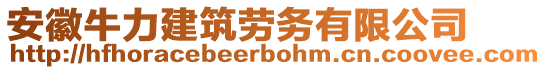 安徽牛力建筑勞務有限公司