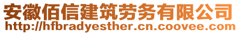 安徽佰信建筑勞務(wù)有限公司