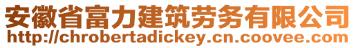 安徽省富力建筑勞務(wù)有限公司