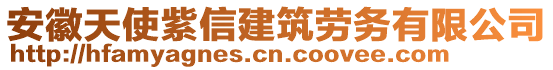 安徽天使紫信建筑勞務(wù)有限公司