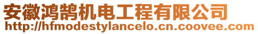 安徽鴻鵠機電工程有限公司