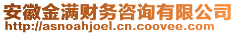 安徽金滿財務(wù)咨詢有限公司