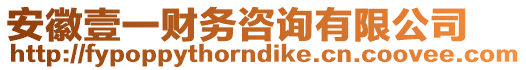 安徽壹一財務咨詢有限公司