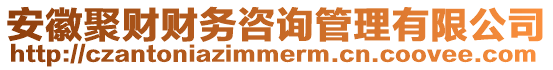 安徽聚財(cái)財(cái)務(wù)咨詢管理有限公司