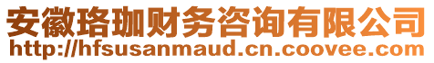 安徽珞珈財務(wù)咨詢有限公司