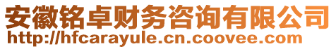 安徽銘卓財務(wù)咨詢有限公司