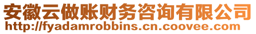 安徽云做賬財務(wù)咨詢有限公司