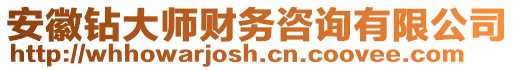 安徽鉆大師財(cái)務(wù)咨詢有限公司