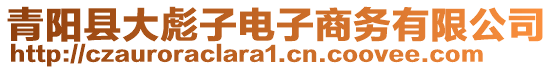 青陽縣大彪子電子商務(wù)有限公司