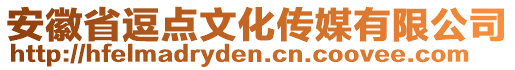 安徽省逗點(diǎn)文化傳媒有限公司