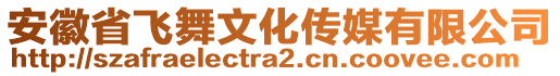 安徽省飛舞文化傳媒有限公司