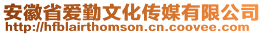 安徽省愛勤文化傳媒有限公司